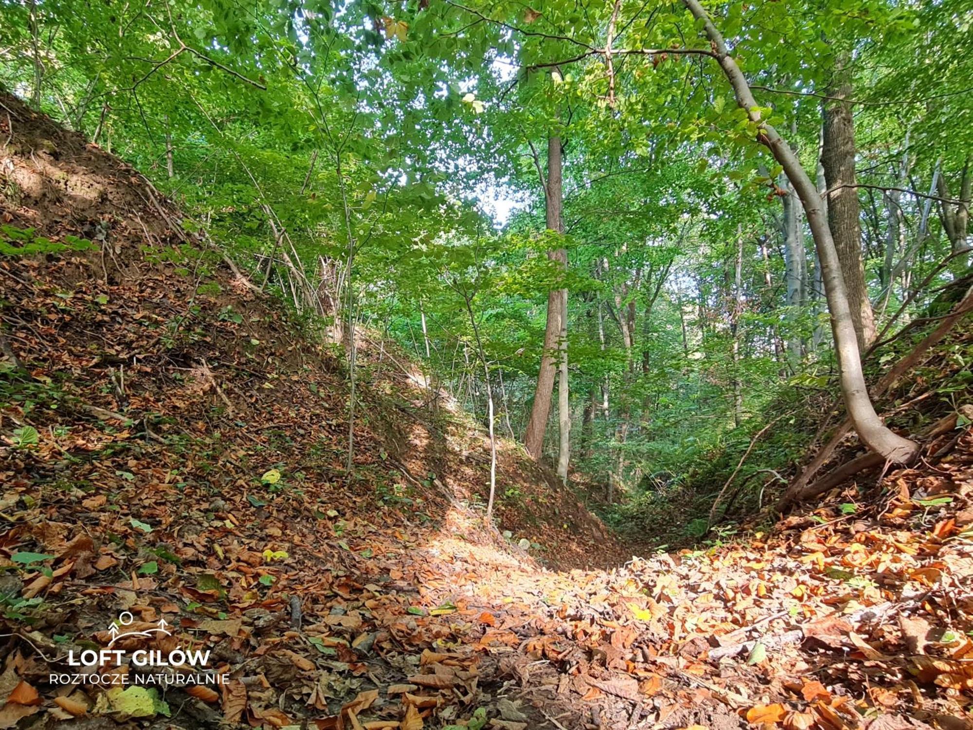 Loft Gilow - Slow Life Siedlisko 외부 사진