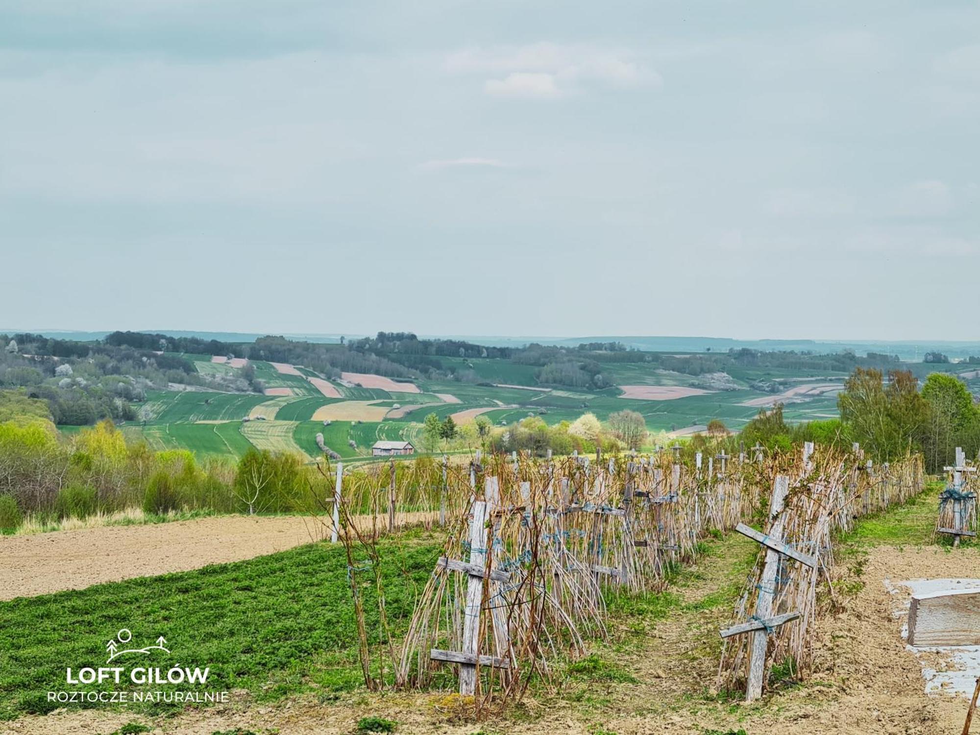 Loft Gilow - Slow Life Siedlisko 외부 사진
